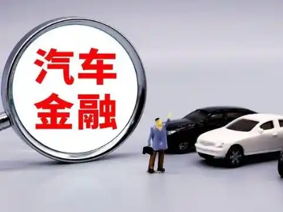 新区押车贷款不是本人可以么?